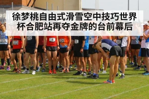 徐梦桃自由式滑雪空中技巧世界杯合肥站再夺金牌的台前幕后